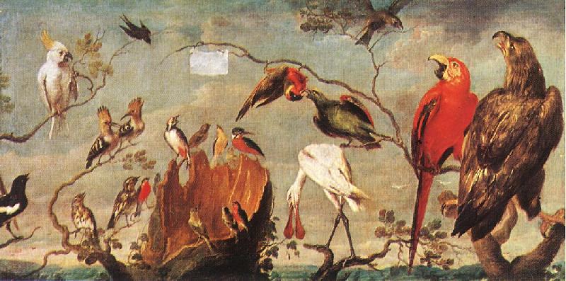 SNYDERS, Frans Concert of Birds fh China oil painting art